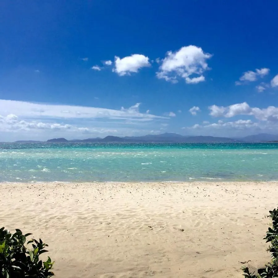 Appartamenti Begonia - Terza Spiaggia Golfo Aranci